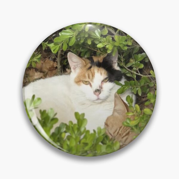Item preview, Cute Kitten in Bush Photo  designed and sold by PamLeeDesign.