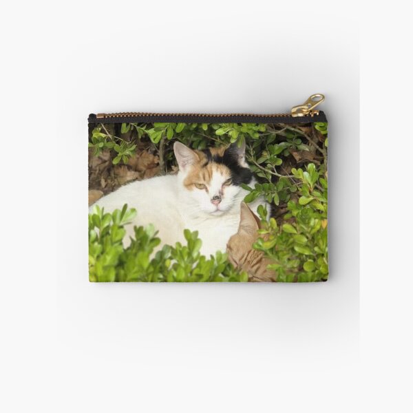 Item preview, Cute Kitten in Bush Photo  designed and sold by PamLeeDesign.