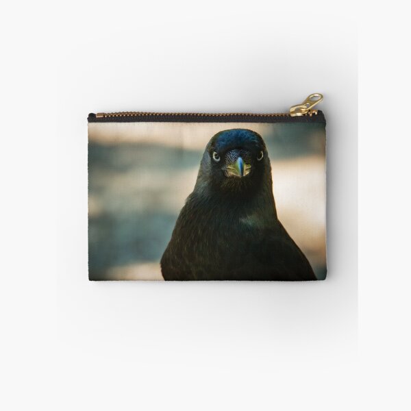 Item preview, Cheeky Jackdaw struttin' about the footpath designed and sold by StelleryART.