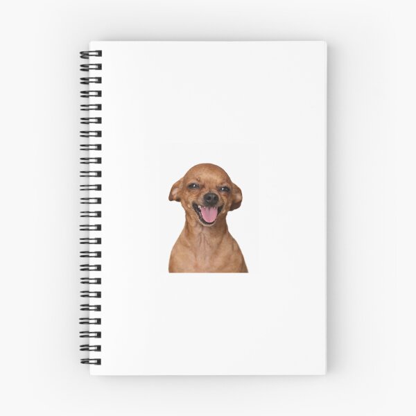 Item preview, Funny Smiling Chihuahua Sticker | Chaos Dog Meme designed and sold by Daniri - Shop.