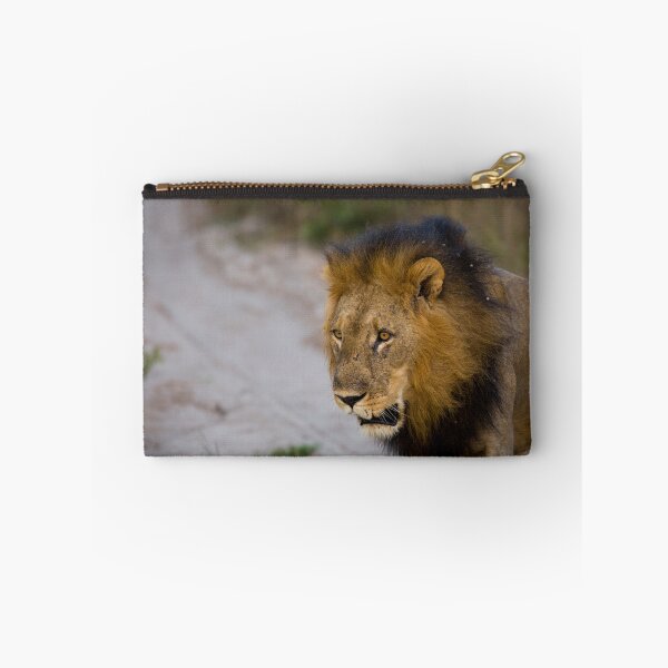 Item preview, Chobe National Park Lion designed and sold by Adrian Peacock Nature and Wildlife.