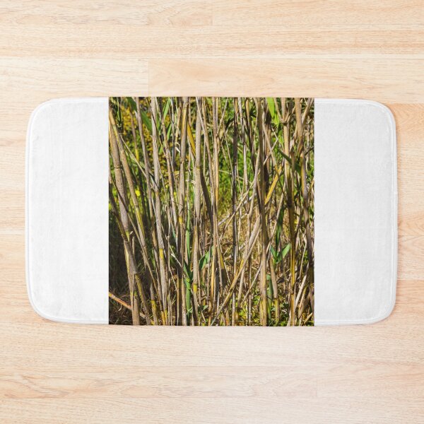 Item preview, Close-Up Of Dry Reed Stalks And New Green Shoots In Sunlit Marsh Vegetation Scene designed and sold by Nmallia.