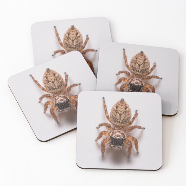Item preview, Spider designed and sold by XaviFotografia.