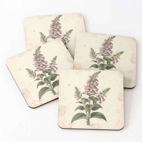 Item preview, Antique Pressed Foxglove Botanical Plate designed and sold by PictorialWhimsy.