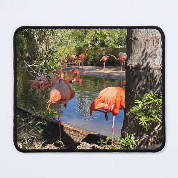 Item preview, Flamingo Barcelona designed and sold by Elise Watson.