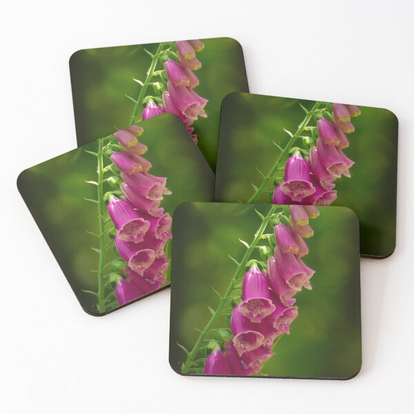 Item preview, Beautiful fox gloves in the sunshine designed and sold by StelleryART.