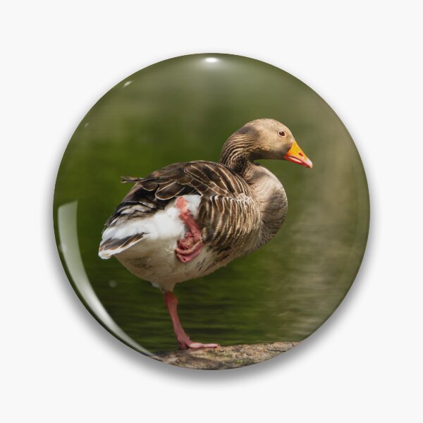 Item preview, Greylag Goose balancing on a log designed and sold by StelleryART.
