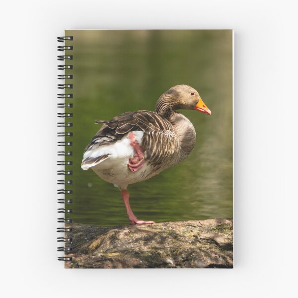 Item preview, Greylag Goose balancing on a log designed and sold by StelleryART.