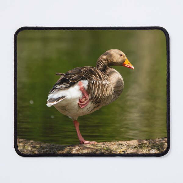 Item preview, Greylag Goose balancing on a log designed and sold by StelleryART.