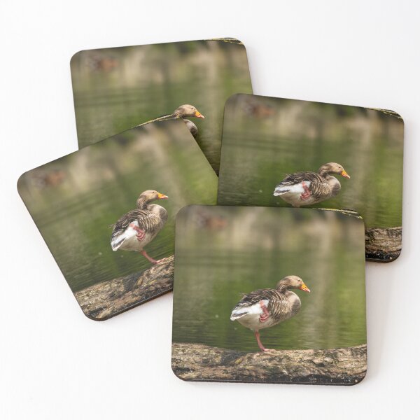 Item preview, Greylag Goose balancing on a log designed and sold by StelleryART.