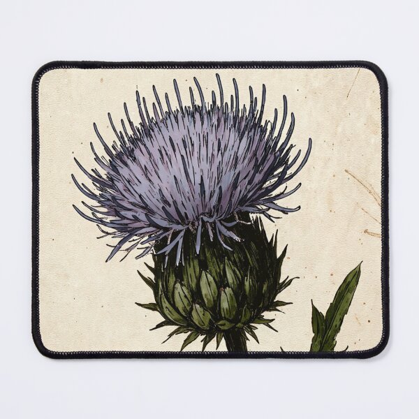 Item preview, Vintage Scottish Thistle Botanical Illustration - Antique Wildflower Art designed and sold by Darlin8888.