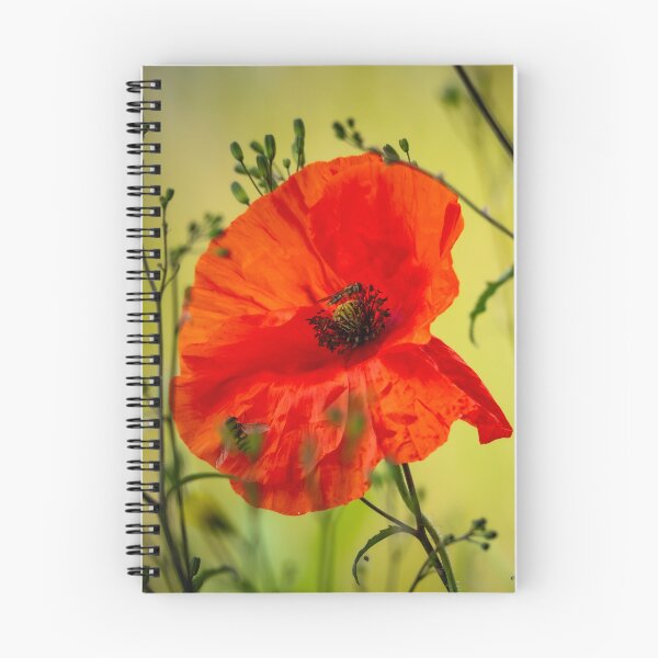 Item preview, Poppies and hover flies designed and sold by StelleryART.