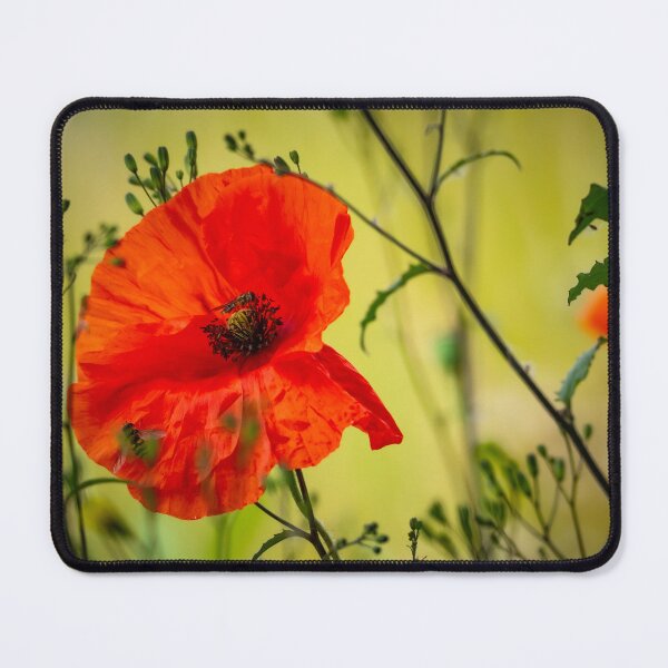 Item preview, Poppies and hover flies designed and sold by StelleryART.