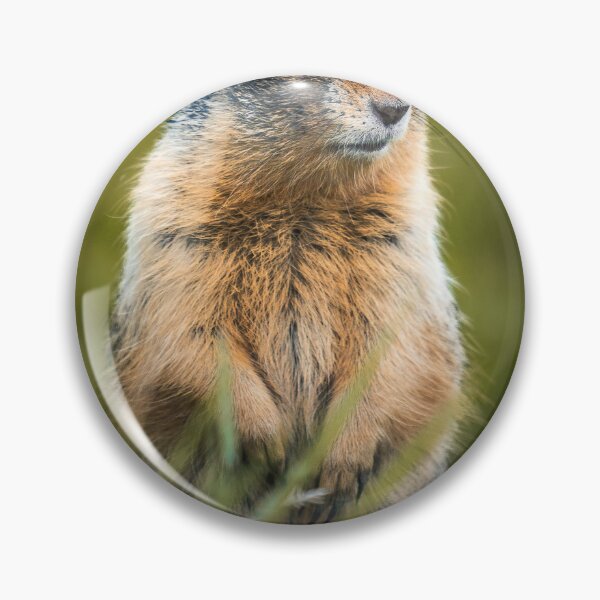 Item preview, Curious Ground Squirrel Wildlife Nature Lover designed and sold by PolancosusOni.