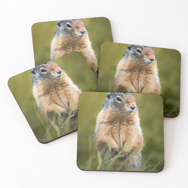 Item preview, Curious Ground Squirrel Wildlife Nature Lover designed and sold by PolancosusOni.