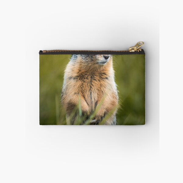 Item preview, Curious Ground Squirrel Wildlife Nature Lover designed and sold by PolancosusOni.