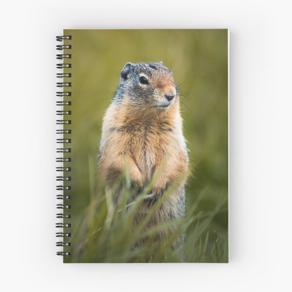 Item preview, Curious Ground Squirrel Wildlife Nature Lover designed and sold by PolancosusOni.