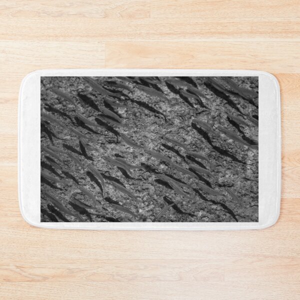 Item preview, School of Small Fish Swimming Over Rocky Reef Underwater in Black and White Marine Photo designed and sold by Nmallia.