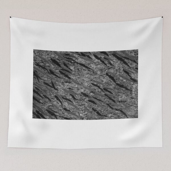 Item preview, School of Small Fish Swimming Over Rocky Reef Underwater in Black and White Marine Photo designed and sold by Nmallia.