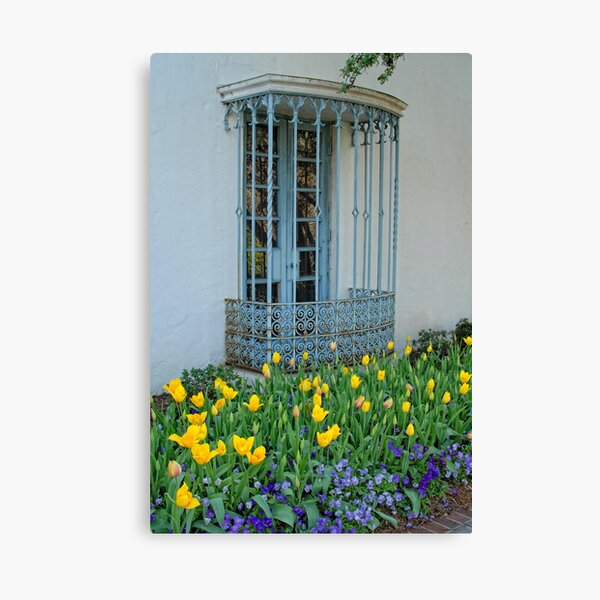 Window Garden Canvas Print
