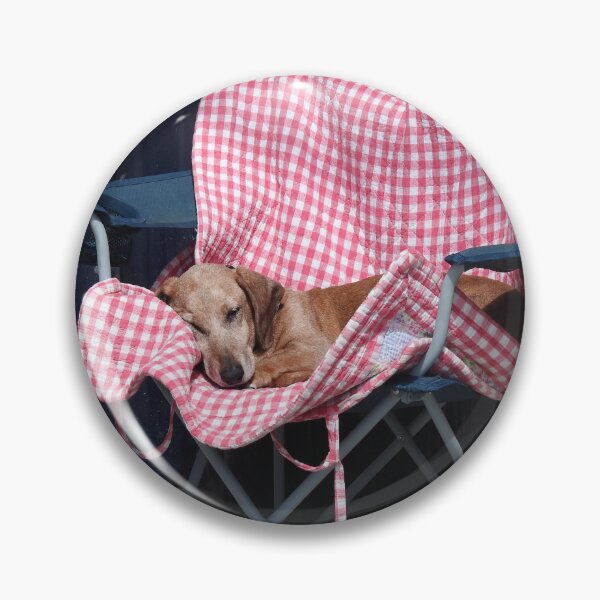 Item preview, Sleepy dachshund on a fold up chair designed and sold by Gaynor-dI.