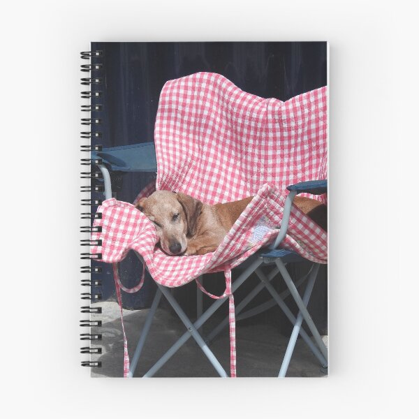 Item preview, Sleepy dachshund on a fold up chair designed and sold by Gaynor-dI.