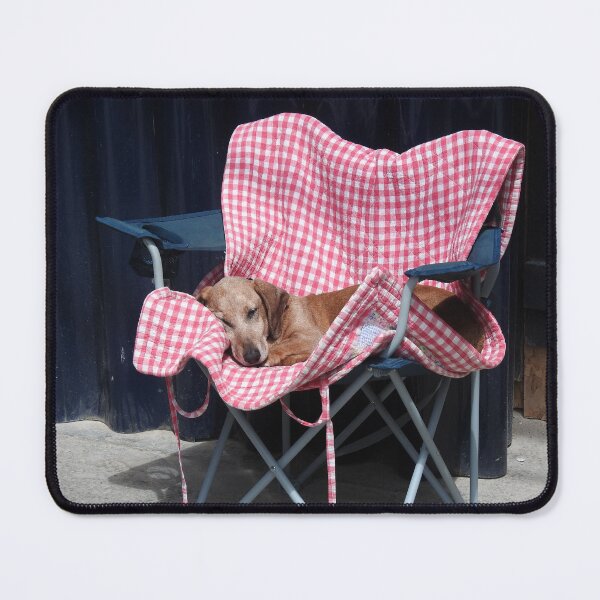 Item preview, Sleepy dachshund on a fold up chair designed and sold by Gaynor-dI.