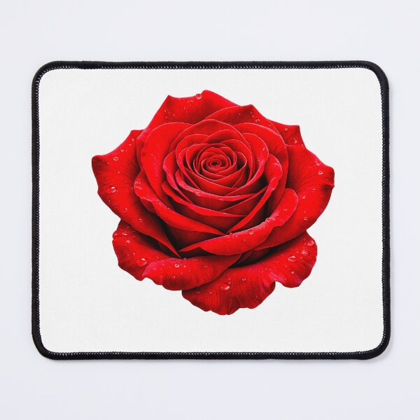Item preview, Elegant Red Rose Floral Sticker designed and sold by PremVerse.