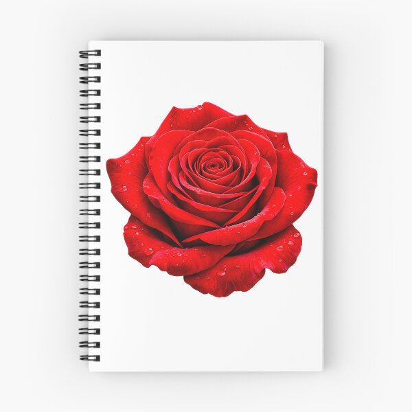 Item preview, Elegant Red Rose Floral Sticker designed and sold by PremVerse.