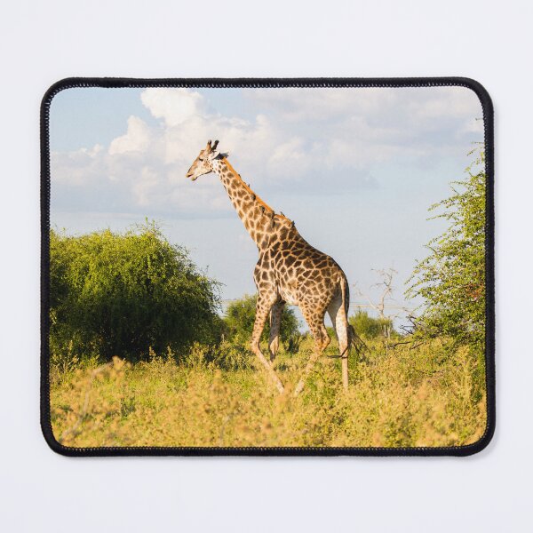 Item preview, Giraffe in the bush designed and sold by Adrian Peacock Nature and Wildlife.