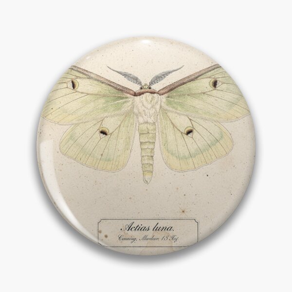 Item preview, Vintage Luna Moth Specimen Natural History Plate designed and sold by PictorialWhimsy.