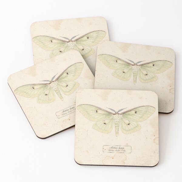 Item preview, Vintage Luna Moth Specimen Natural History Plate designed and sold by PictorialWhimsy.