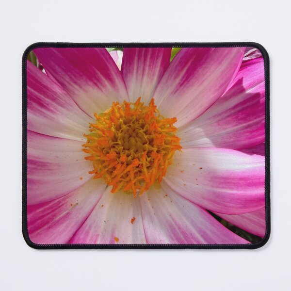 Item preview, Glowing Pink Petals designed and sold by Betsy Phillips.