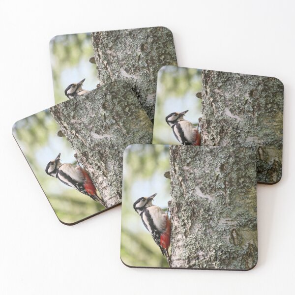 Item preview, Mouthfull. Great Spotted Woodpecker Spring 2026 designed and sold by Jouko Lehto Photography.