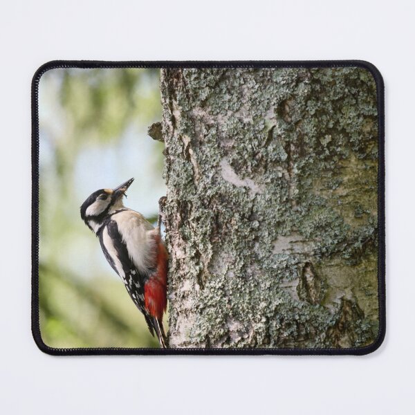 Item preview, Mouthfull. Great Spotted Woodpecker Spring 2026 designed and sold by Jouko Lehto Photography.