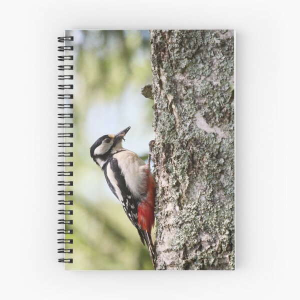 Item preview, Mouthfull. Great Spotted Woodpecker Spring 2026 designed and sold by Jouko Lehto Photography.