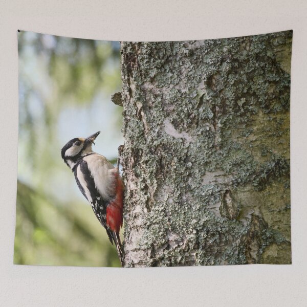 Item preview, Mouthfull. Great Spotted Woodpecker Spring 2026 designed and sold by Jouko Lehto Photography.
