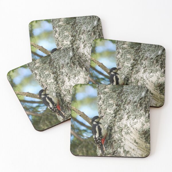 Item preview, Studies of the birch. Great Spotted Woodpecker Spring 2026 designed and sold by Jouko Lehto Photography.