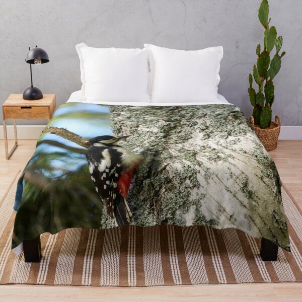 Item preview, Studies of the birch. Great Spotted Woodpecker Spring 2026 designed and sold by Jouko Lehto Photography.