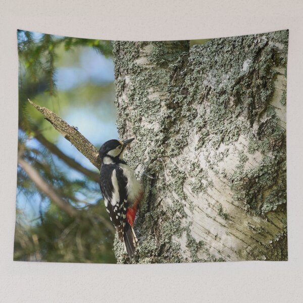 Item preview, Studies of the birch. Great Spotted Woodpecker Spring 2026 designed and sold by Jouko Lehto Photography.