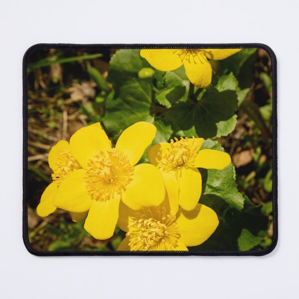 Item preview, Birght yellows. Marsh-marigold designed and sold by Jouko Lehto Photography.