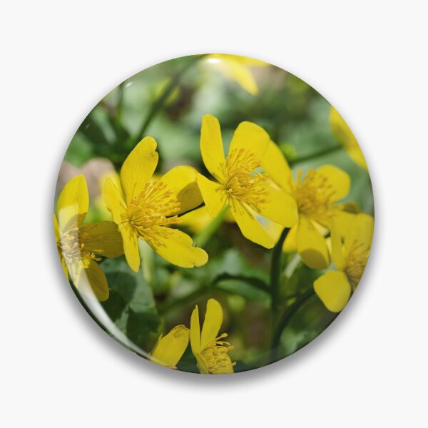 Item preview, The bunch. Marsh-marigold designed and sold by Jouko Lehto Photography.