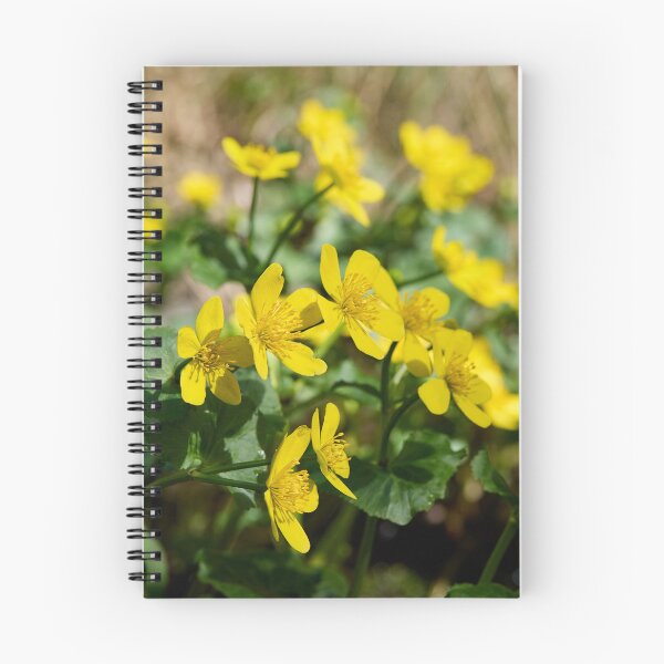 Item preview, The bunch. Marsh-marigold designed and sold by Jouko Lehto Photography.