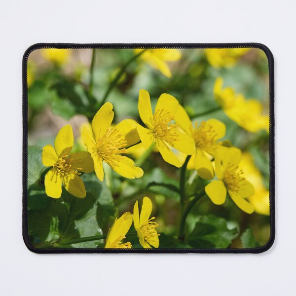 Item preview, The bunch. Marsh-marigold designed and sold by Jouko Lehto Photography.