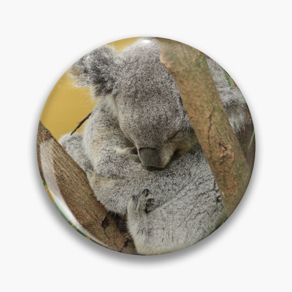 Item preview, Sleeping Koala designed and sold by Chris Coates Photography.com.