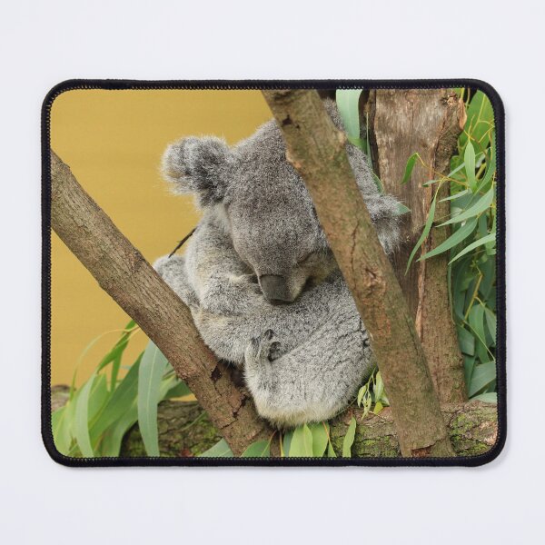 Item preview, Sleeping Koala designed and sold by Chris Coates Photography.com.