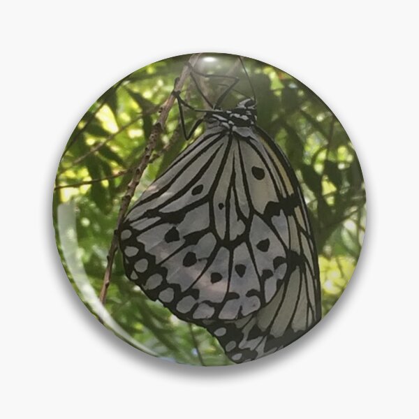 Item preview, Butterfly, REAL photograph designed and sold by GiSilver.