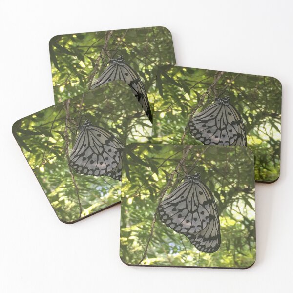Item preview, Butterfly, REAL photograph designed and sold by GiSilver.
