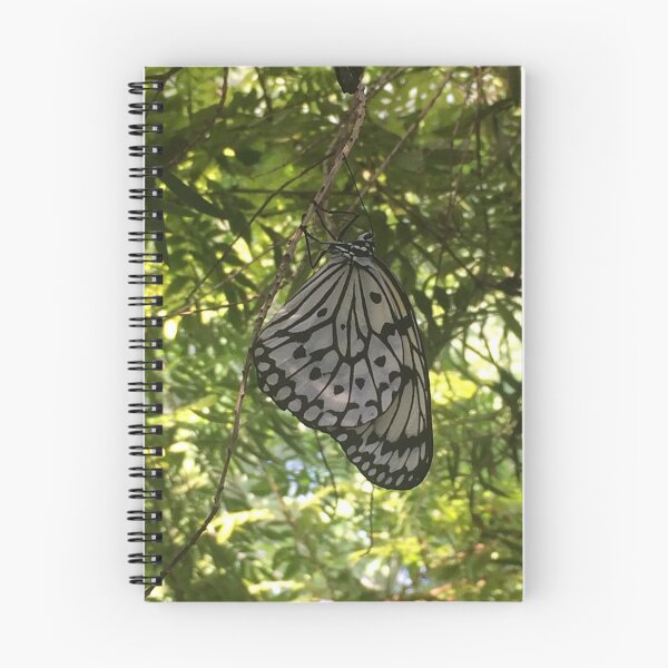 Item preview, Butterfly, REAL photograph designed and sold by GiSilver.