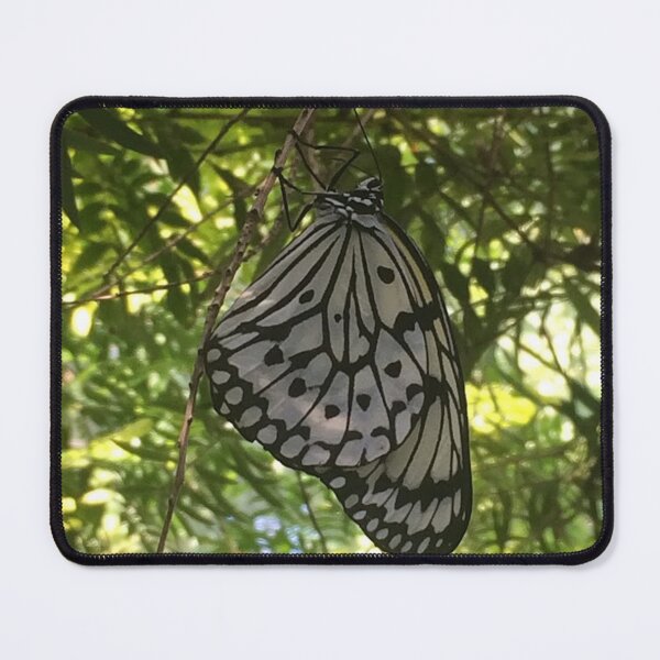 Item preview, Butterfly, REAL photograph designed and sold by GiSilver.